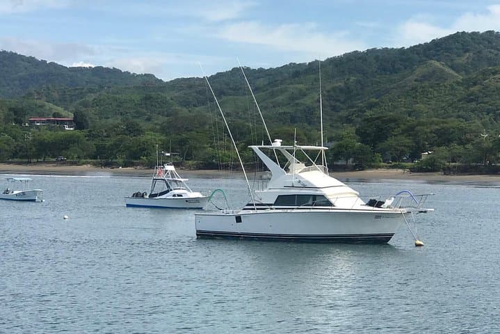 Offshore Sport Fishing from Flamingo Beach: Full-Day Charter for Sailfish, Marlin & Tuna photo 6