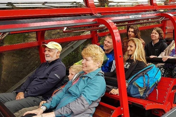 Blue Mountains One-Day Tour from Sydney — Scenic World, Three Sisters & Featherdale photo 4