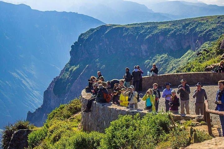 2-Day Colca Canyon from Puno: Cruz del Condor, Vicuñas & Hot Springs photo 1