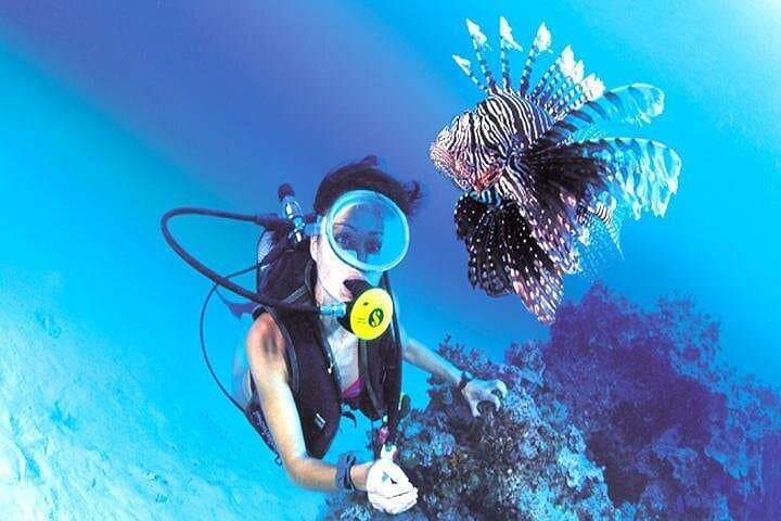 Blue Lagoon Bali Snorkeling: Shore-Entry Coral Gardens at Padangbai photo 6