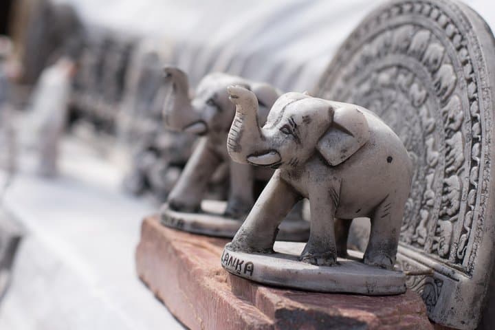 Sri Lanka History and Heritage: 10-Day Cultural and Wildlife Tour photo 4