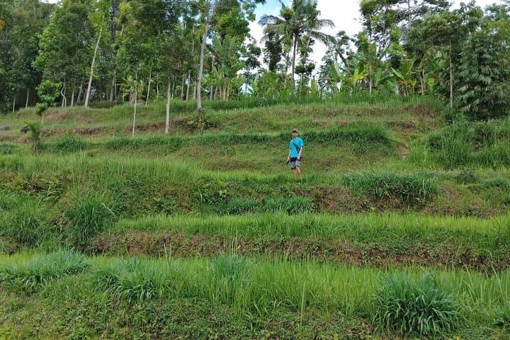 Soft Trekking Tetebatu: Rice Terraces & Waterfall Day Hike on Mount Rinjani's Slopes photo 3