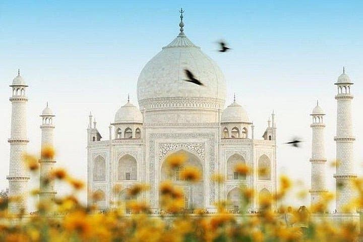 Taj Mahal & Agra Fort Day Tour From Delhi by Gatimaan Express photo 2