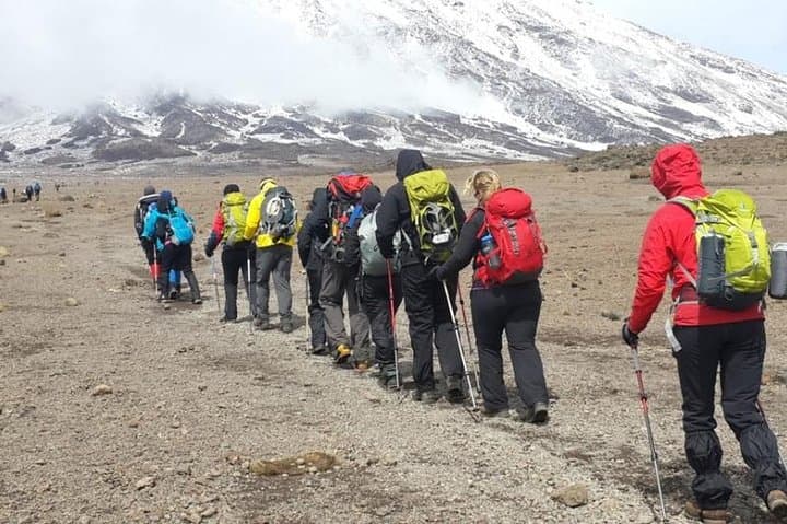 Climb Kilimanjaro via the Machame Route: 8-Day Trek to Uhuru Peak photo 4