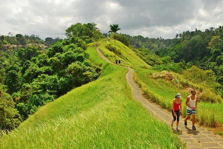 Bali Private Full-Day Rent Car: Customize Your 12-Hour Island Tour photo 2