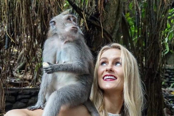 Bali Private Full-Day Rent Car: Customize Your 12-Hour Island Tour photo 3