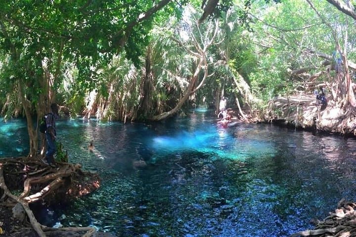 Kikuletwa (Chemka) Hot Springs Day Tour from Arusha