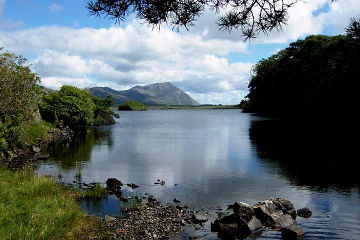 Fly Fishing Wild Brown Trout on Lough Corrib — Private Ghillie Day Trip from Galway photo 3