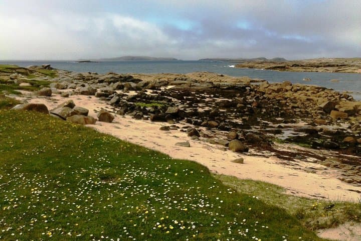Connemara and Inishturk: Private Full-Day Wildlife Cruise from Cleggan photo 2