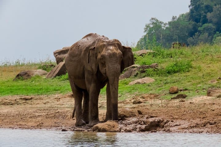 Trail Around Ceylon: 13-Day Sri Lanka Culture, Tea & Wildlife Circuit photo 4