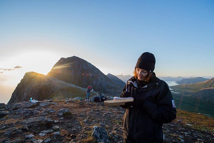 Midnight Sun Hike in Tromsø — Arctic Evening Walk & Summit Views photo 4