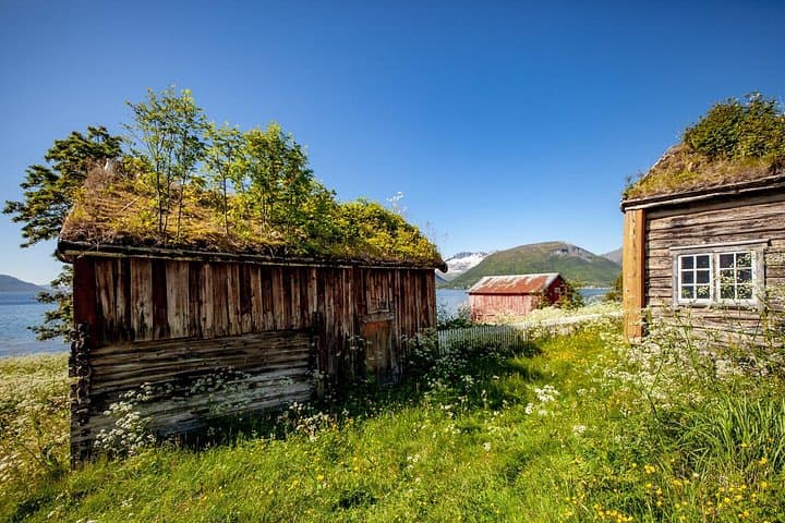 Summer Fjord Road Trip & Citizen Science near Tromsø — Ersfjord and Grøtfjord photo 1