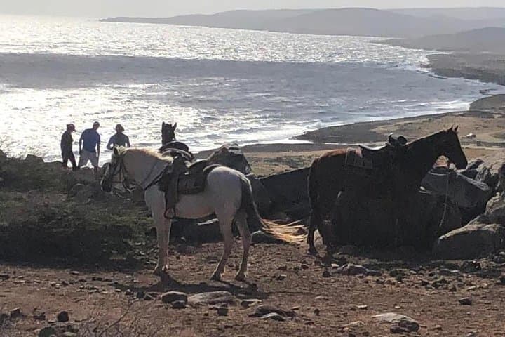 Sunset Horseback Ride Through Aruba's Cunucu Countryside and North Coast photo 3