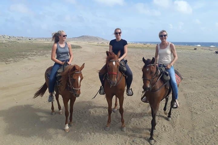 Aruba Advanced Horseback Riding Tour: Cunucu Countryside & Northeast Coast Gallops photo 1