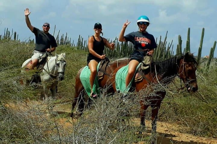Private Sunset Horseback Ride in Aruba — Palm Beach Ranch Tour photo 3
