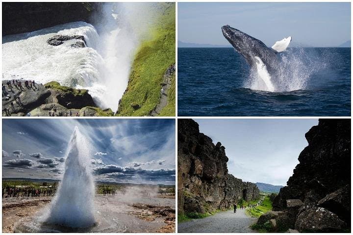 Iceland Doubleheader: Whale Watching in Faxaflói and the Golden Circle Day Tour