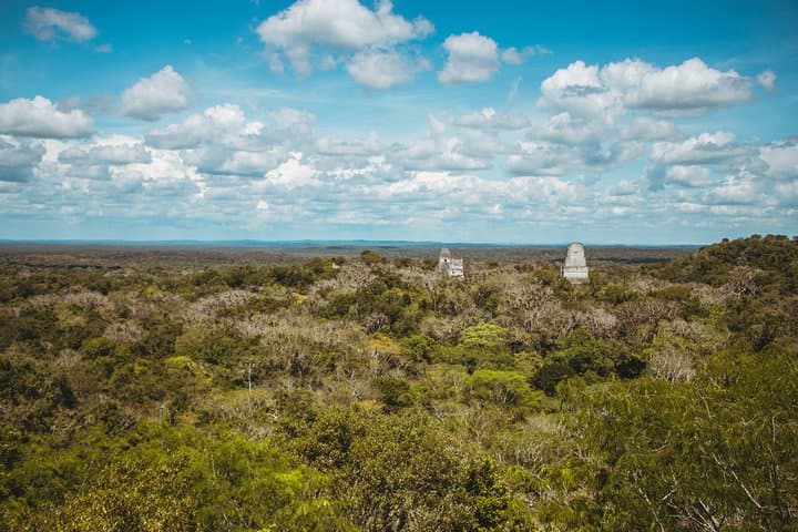 Tikal Day Tour from Antigua — Explore Maya Temples & Jungle Wildlife photo 3