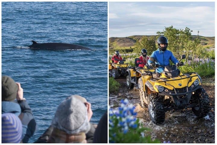 Whales & Quads: Reykjavik Whale-Watching and ATV Day Adventure photo 1