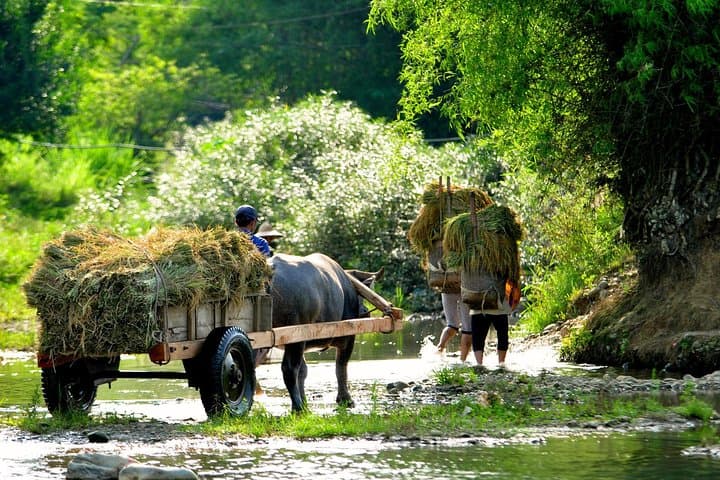 3-Day Pu Luong Trek: Homestays, Rice Terraces & Hill-tribe Trails from Hanoi photo 2