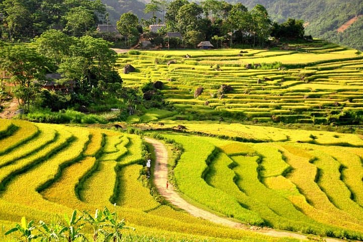 3-Day Pu Luong Trek: Homestays, Rice Terraces & Hill-tribe Trails from Hanoi photo 6