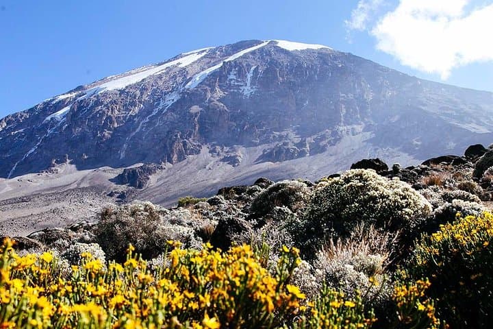 Umbwe Route Kilimanjaro: 6-Day Steep Ascent to Uhuru Peak