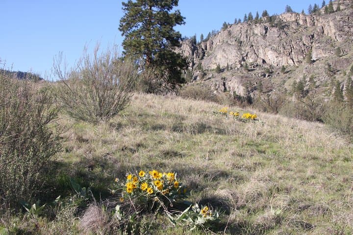 Explore Canada’s Only Desert: South Okanagan Desert Tour in Osoyoos photo 2