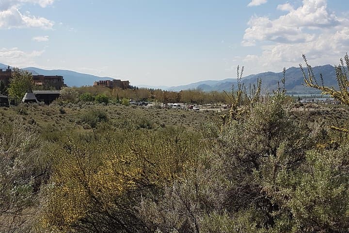 Explore Canada’s Only Desert: South Okanagan Desert Tour in Osoyoos photo 6