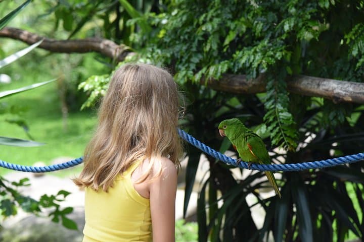 BioParque do Rio: Guided Conservation Tour with Hotel Transfer photo 4