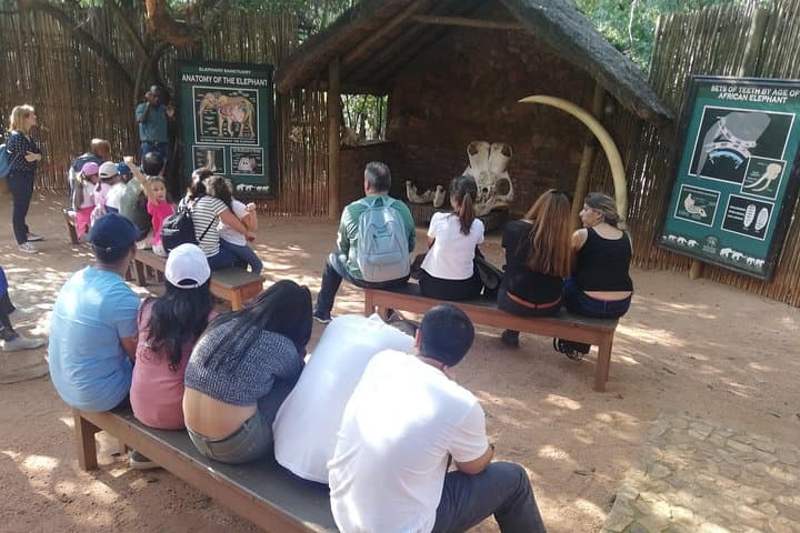 Elephant and Monkey Walk at Hartbeespoort: Private Sanctuary Experience from Johannesburg photo 6