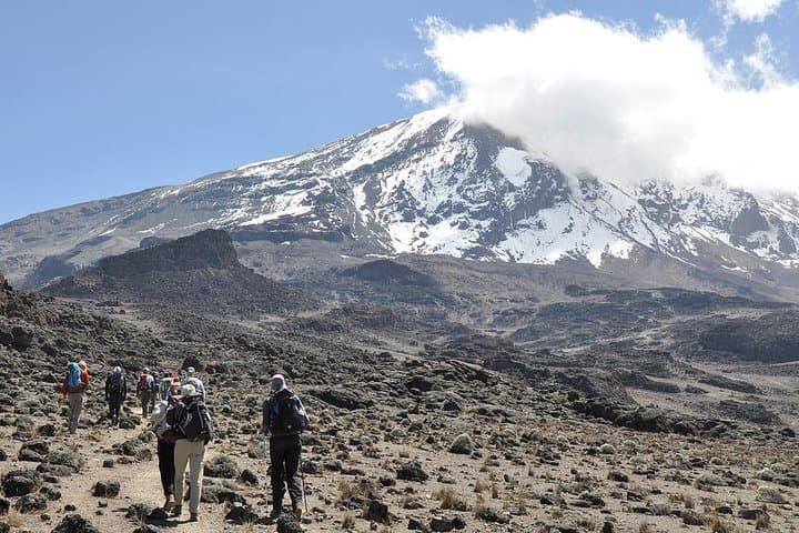 Lemosho Route Kilimanjaro: An 8-Day Summit Adventure to Uhuru Peak