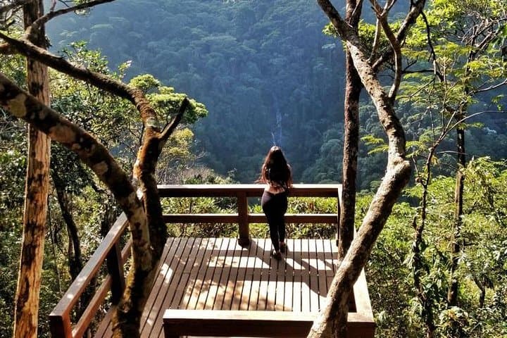 Tijuca National Park and Rio Botanic Garden Guided Tour — Vista Chinesa, Waterfalls & Wildlife photo 2