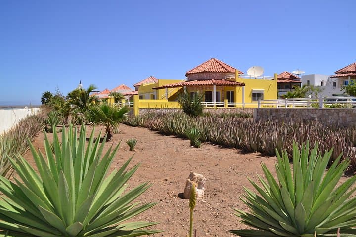 Sal Island Half-Day Tour & Shark Encounter from Santa Maria photo 2