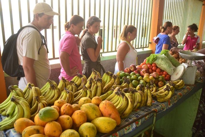 Sal Island Half-Day Tour & Shark Encounter from Santa Maria photo 5