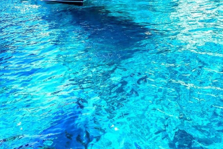 Capri Boat Tour & Blue Grotto Priority Tickets — Marina Grande Coastal Cruise photo 4