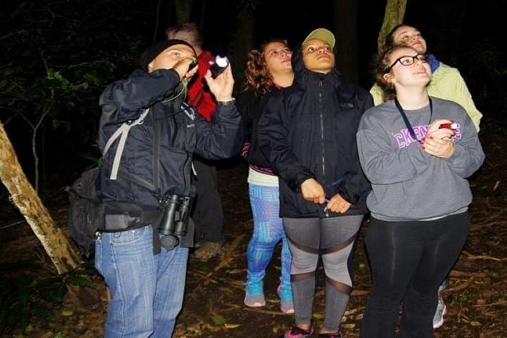 Sendero Tranquilo Night Walk: Nocturnal Wildlife Tour in Puntarenas photo 4