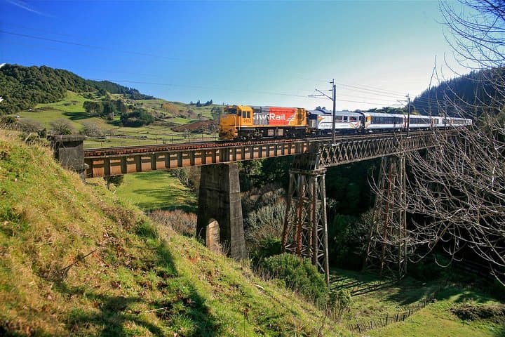 Northern Explorer: Scenic Train Journey from Wellington to Auckland photo 5