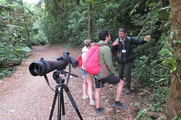 Santa Elena Cloud Forest Reserve Guided Walk — Flora, Fauna & Cloud-forest Trails