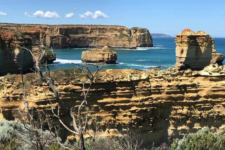 Reverse Great Ocean Road Tour: Beat the Crowds at the Twelve Apostles photo 6