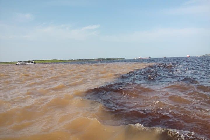 Taste of the Amazon: 3-Day Tapiri Floating Lodge Jungle Experience from Manaus photo 3