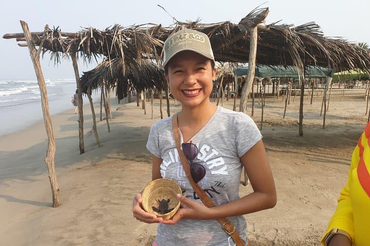 Six-Hour Acapulco Highlights Tour: La Quebrada Divers, Turtle Release & City Market