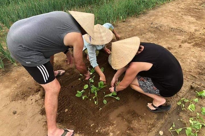 Hoi An Countryside Jeep Tour: Tra Que, Cam Thanh & Basket Boat Experience photo 5