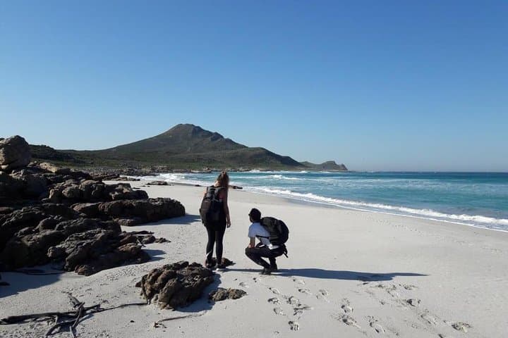 Hike Cape of Good Hope & Cape Point — Full-Day Private Coastal Trek from Cape Town
