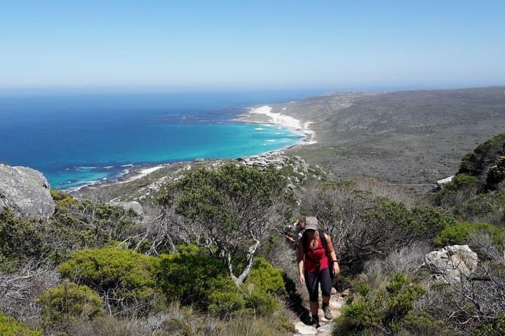 Hike Cape of Good Hope & Cape Point — Full-Day Private Coastal Trek from Cape Town photo 3
