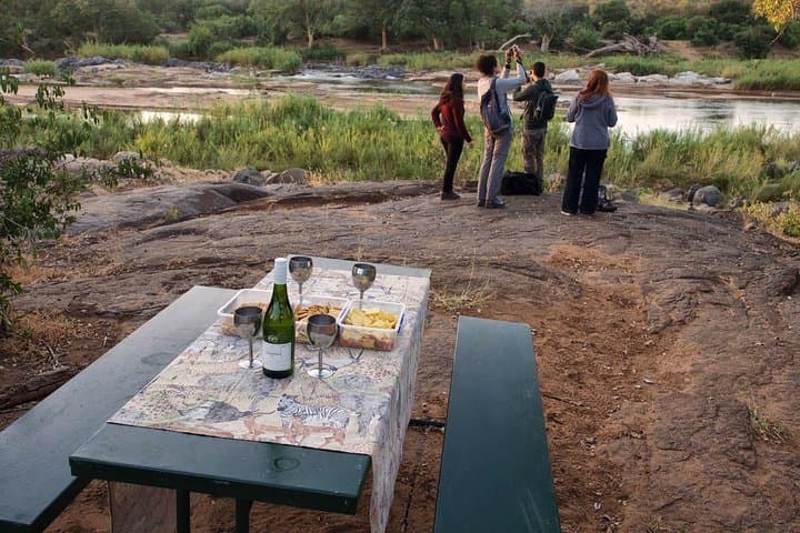 4-Day Kruger Lodge & Treehouse Safari — Balule Big Five Adventure photo 4