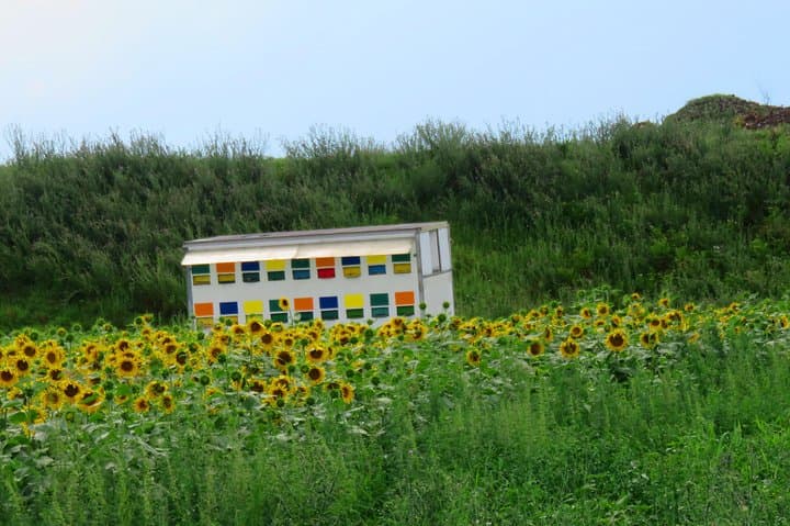 Century Ride: 100 km Bike Loop Near Bucharest photo 4
