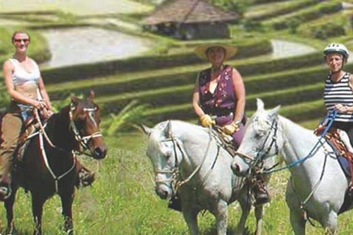 Jatiluwih Adventure: Rice-Terrace Jeep, ATV & Lazy River Day Trip from Ubud photo 4