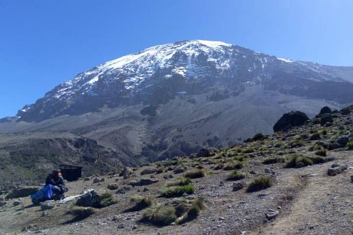 7-Day Lemosho Route Kilimanjaro Trek — Itinerary, Tips & Summit Strategy