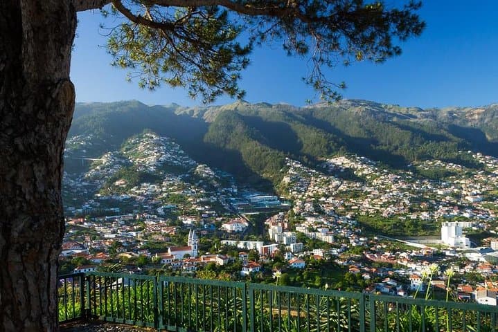 Eira do Serrado to Monte: Funchal Mountain Viewpoints & Monte Gardens Day Tour photo 2