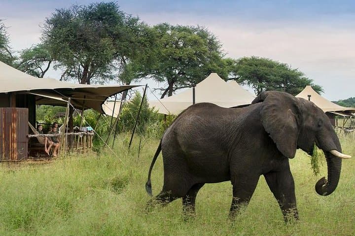 Hwange National Park 2-Night Camping Safari from Victoria Falls