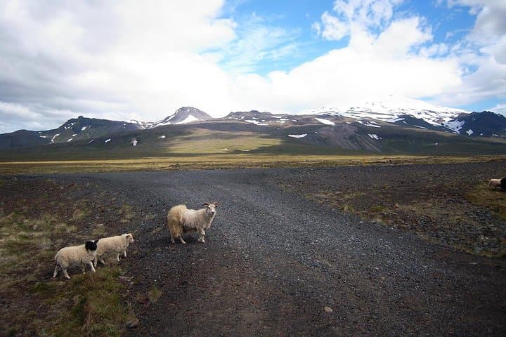 Snaefellsnes Peninsula Super-Jeep Day Trip from Reykjavik photo 4